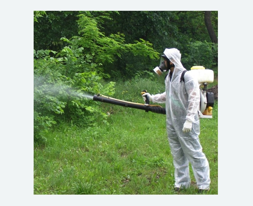 обработка территории от клещей в Иваново