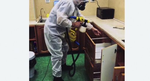 Уничтожение насекомых в квартире. Иваново