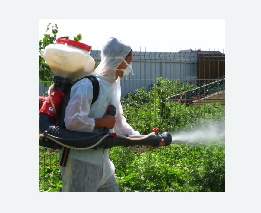 Акарицидная обработка территории в Иваново