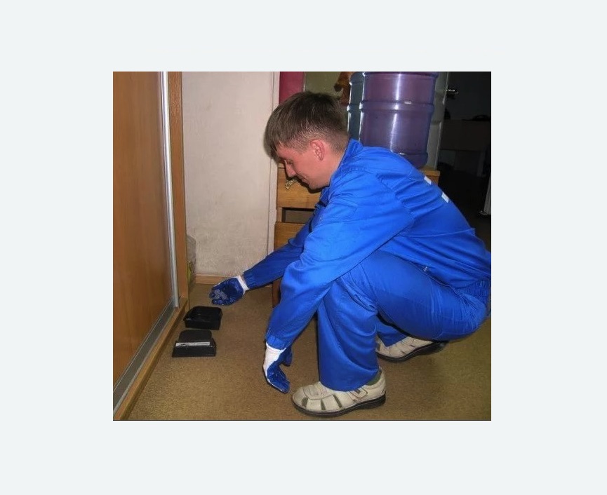 Дератизация крыс в Иваново