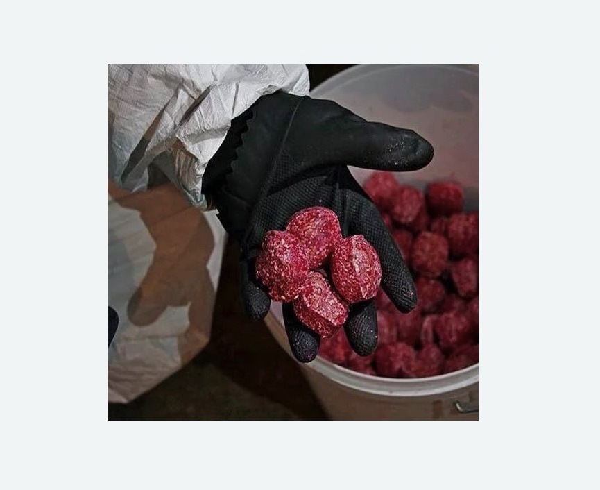 Обработка от крыс в Иваново