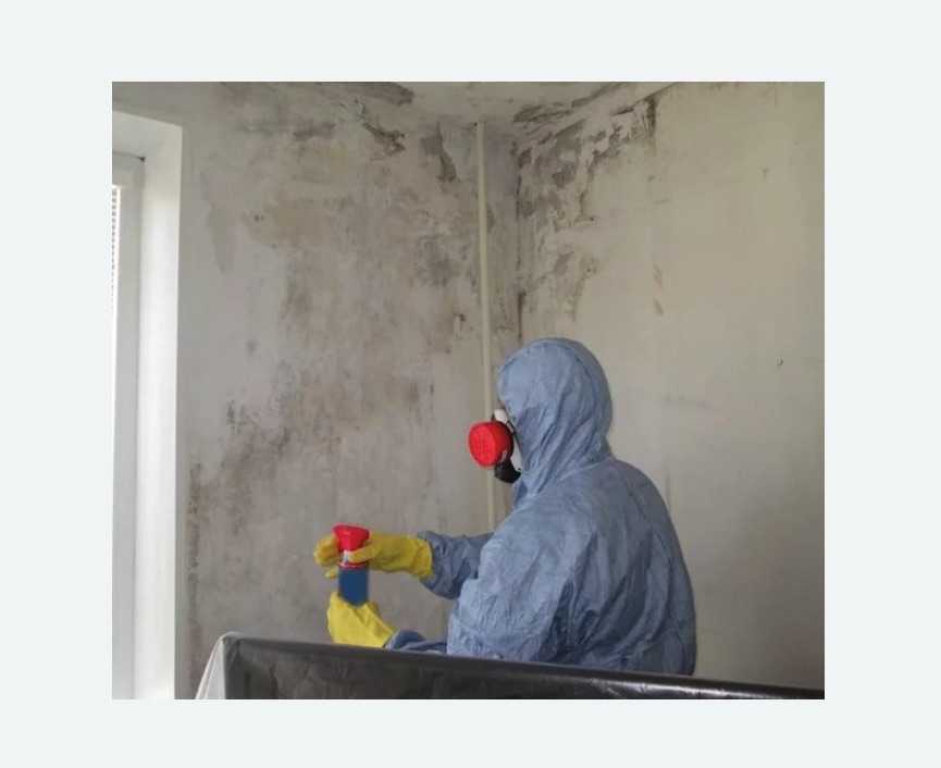 Удаление плесени в квартире в Иваново
