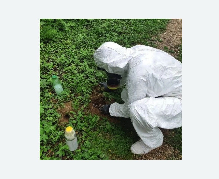 уничтожение кротов на участке в Иваново