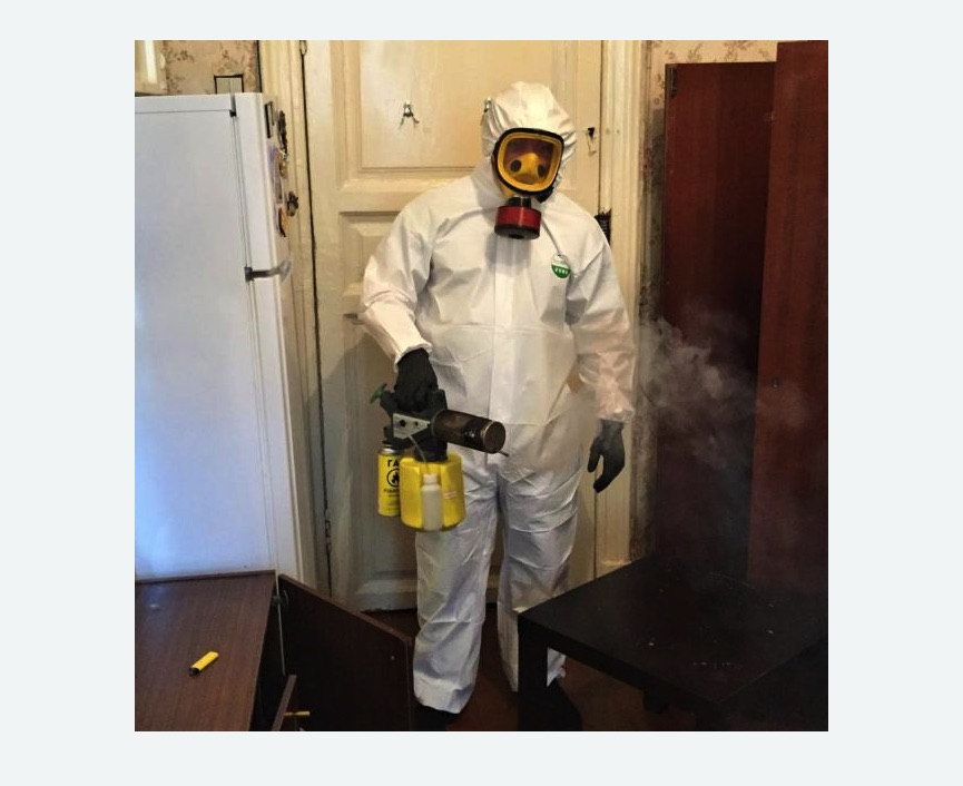 уничтожение муравьев в квартире в Иваново